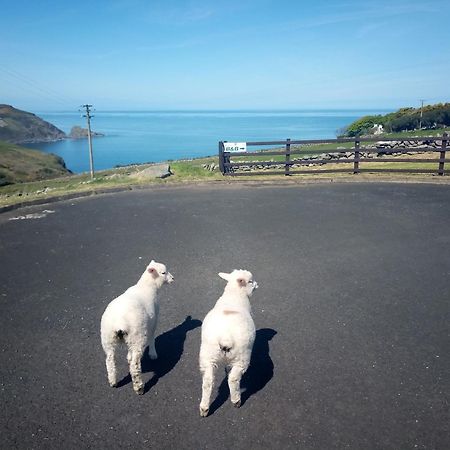 גרינקאסל Wild Atlantic View Inishowen מראה חיצוני תמונה