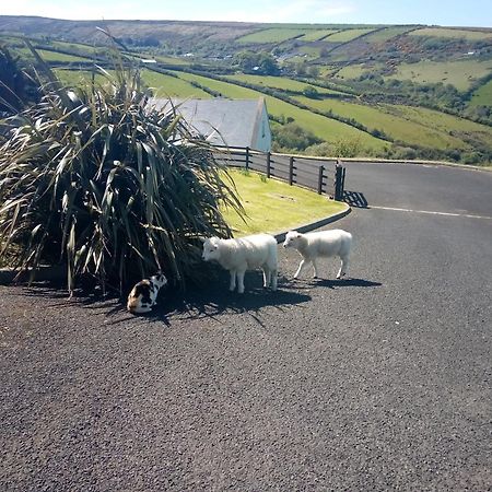 גרינקאסל Wild Atlantic View Inishowen מראה חיצוני תמונה