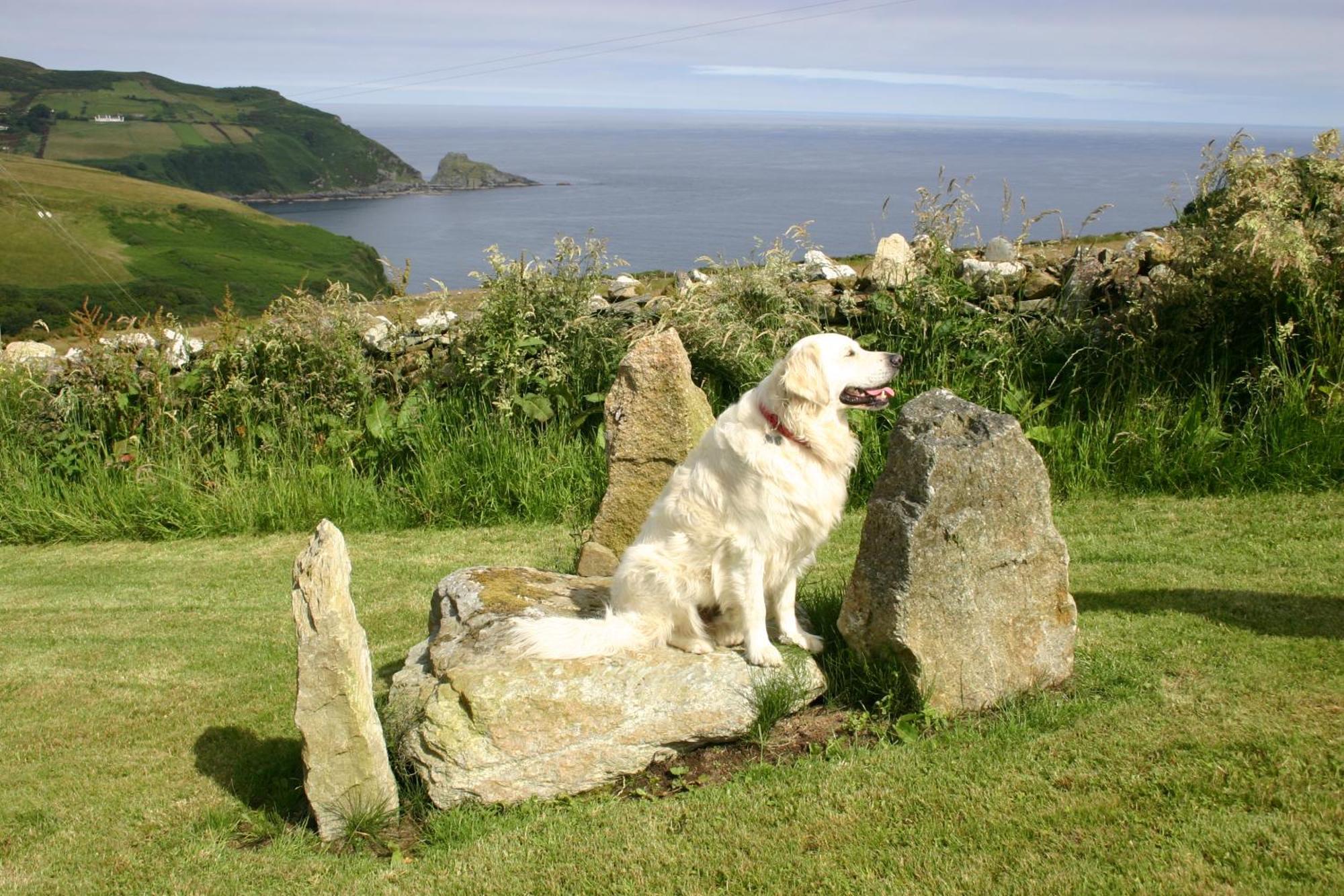גרינקאסל Wild Atlantic View Inishowen מראה חיצוני תמונה